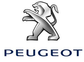 Bodrum Peugeot, Özel Servisi