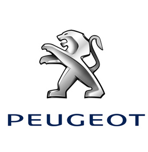 Bodrum Peugeot ve Citroen Servisi