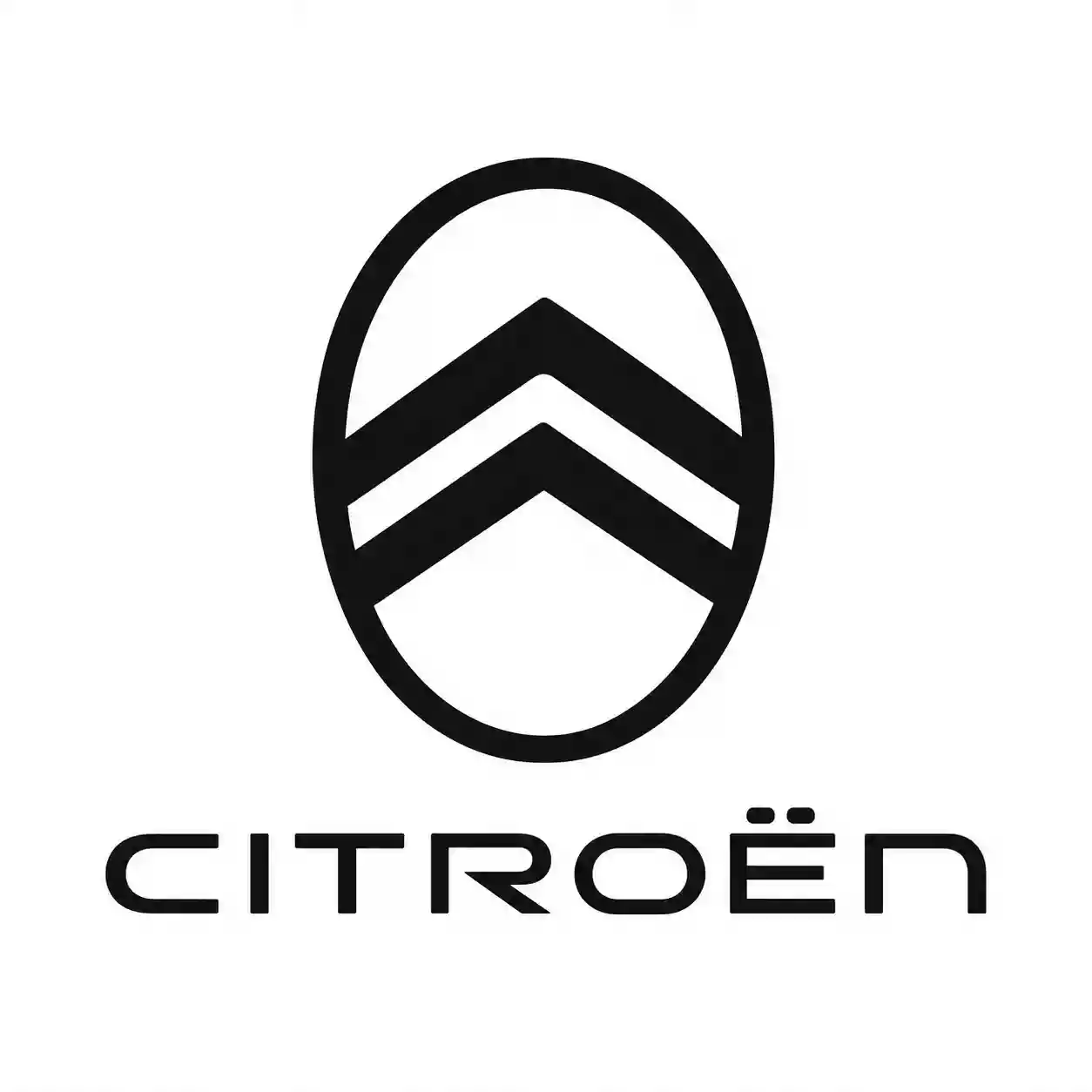 Bodrum Citroën Özel Servisi