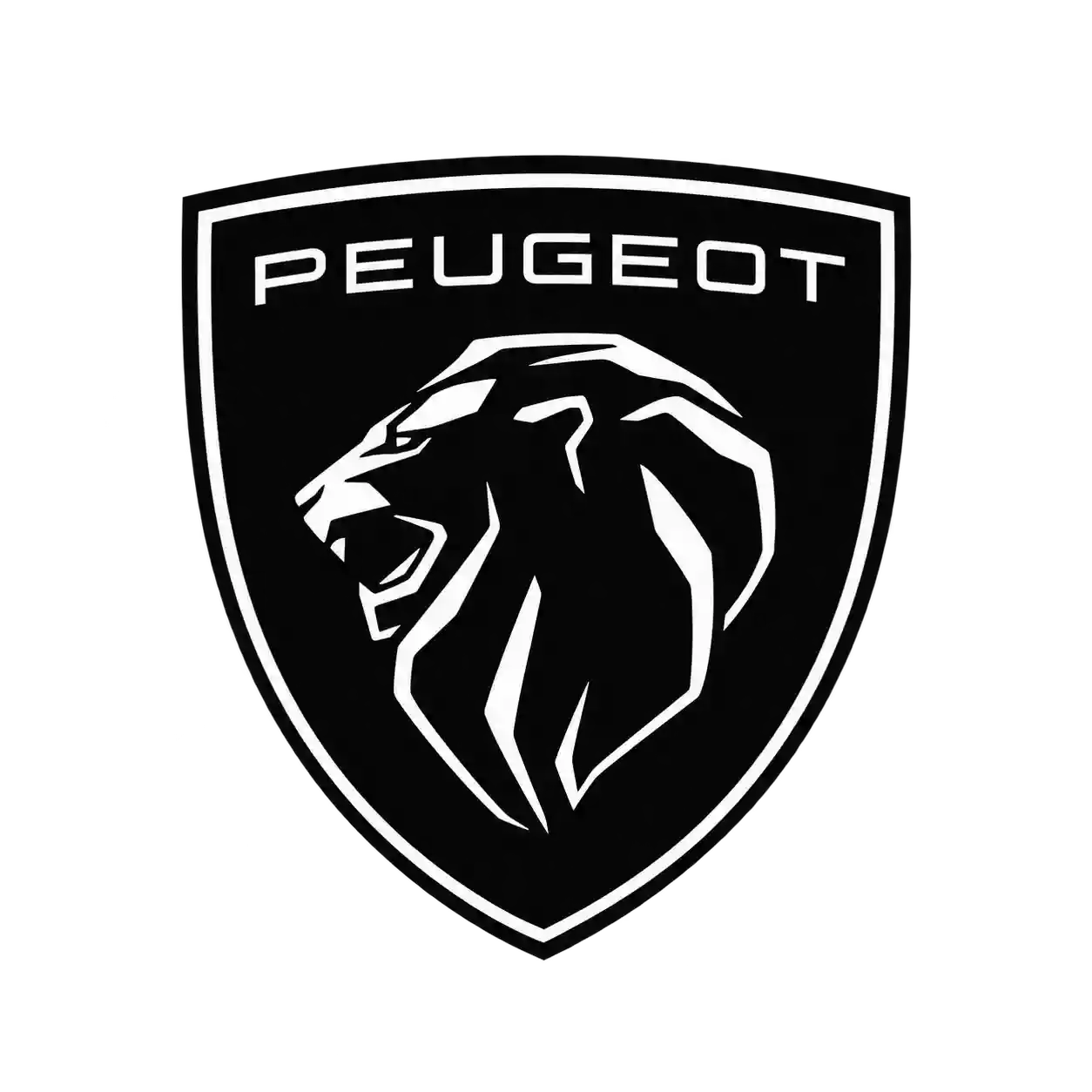 Bodrum Peugeot Özel Servisi